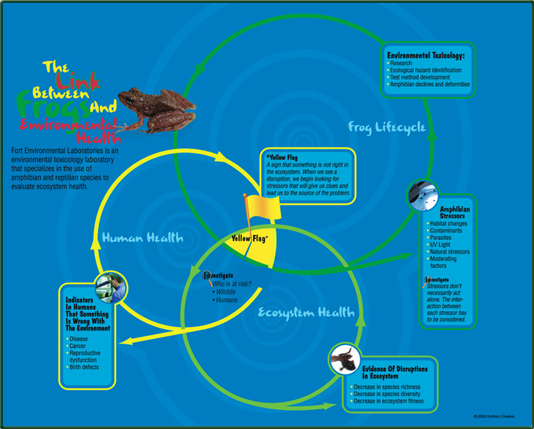 InfoGraphic_larger