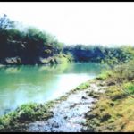Milagro Tract, Rio Grande River, South Texas, Study SItes